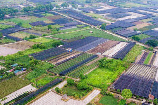 Quy định về đấu giá đất nông nghiệp của TP Hà Nội "trái pháp luật"