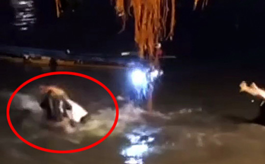 Bình Thạnh thông tin về clip xô xát khi thả cá phóng sinh ở chùa Diệu Pháp