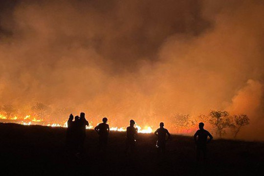 Cháy rừng phòng hộ, cả làng cùng tham gia dập lửa trong ngày nghỉ lễ