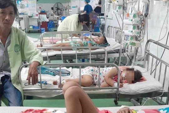 Quảng Nam: Bốn mẹ con bị đàn ong vò vẽ đốt phải nhập viện
