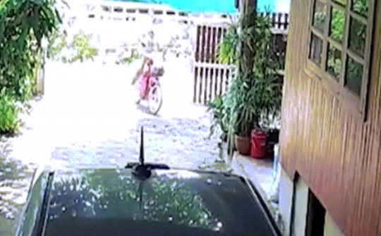 Video: Bị rắn hổ mang rượt đuổi, người đàn ông hoảng sợ phóng xe máy bỏ chạy