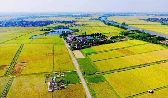 Hà Nội chuyển đổi mục đích sử dụng đất nông nghiệp sang phi nông nghiệp