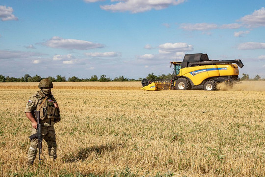 Kiev đã tìm ra cách đưa ngũ cốc qua Biển Đen vượt phong tỏa?