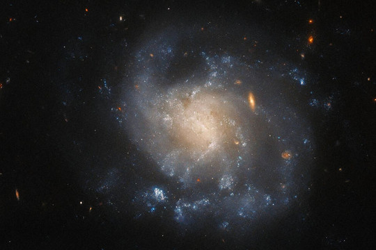 Một thiên hà xoắn nơi supernova vừa xảy ra trong hình ảnh của Hubble