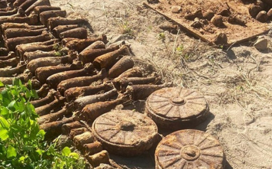 Đào khoai tây ở vườn sau nhà, người phụ nữ Ukraine phát hiện hàng loạt vũ khí chết chóc