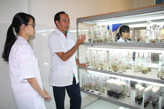 Không để khó chồng khó nghiên cứu khoa học trong trường đại học