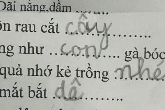 Bài kiểm tra tiếng Việt lớp 1 khiến người lớn ngậm ngùi "khó phết", đọc câu trả lời của học trò mà cười ngất