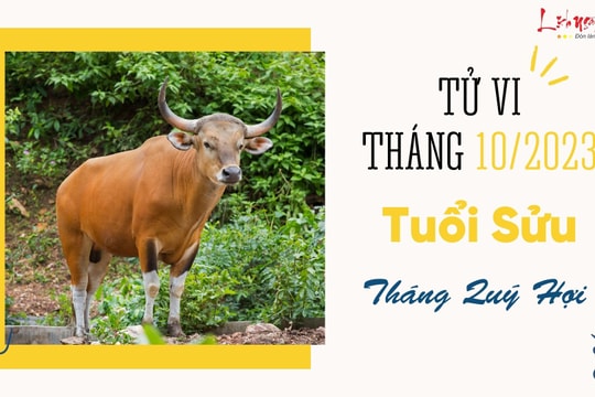 Tử vi tháng 10/2023 tuổi Sửu âm lịch: Có thăng có trầm, tình hình vẫn còn biến động