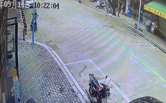 Video: Coi thường cảnh báo, người đi xe máy bị cây đè trúng người