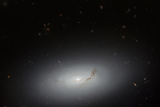 Thiên hà thấu kính NGC 3156 trong hình ảnh của Hubble