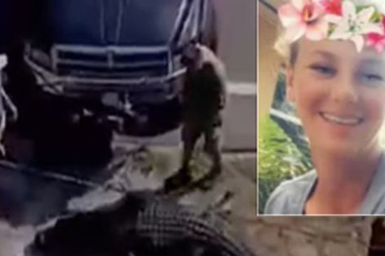 Mỹ giết cá sấu ngậm thi thể người phụ nữ