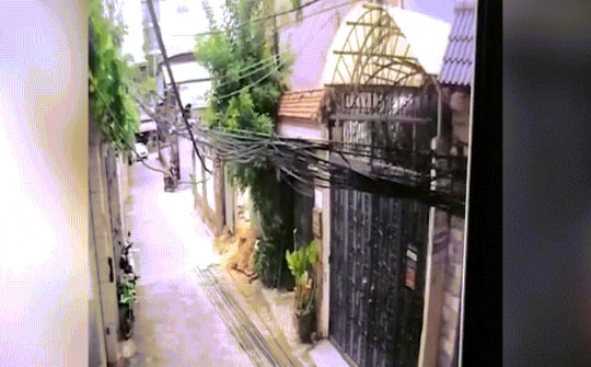 Camera ghi lại nhà 4 tầng ở TPHCM đổ sập trong 8 giây, hai người may mắn thoát kịp