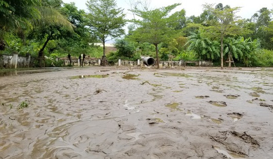Cận cảnh bùn ùn ùn tràn vào nhà dân ở Đà Nẵng