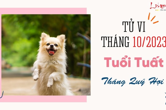 Tử vi tháng 10/2023 tuổi Tuất âm lịch: Nhiều ẩn số và biến động chờ được khám phá