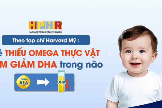 Tạp chí Harvard: Ngay từ khi sinh ra, trẻ cần bổ sung Omega thực vật để không làm giảm nồng độ DHA trong não