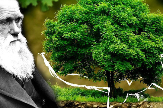 Thuyết tiến hóa do Darwin đề xuất có thực sự đáng tin?