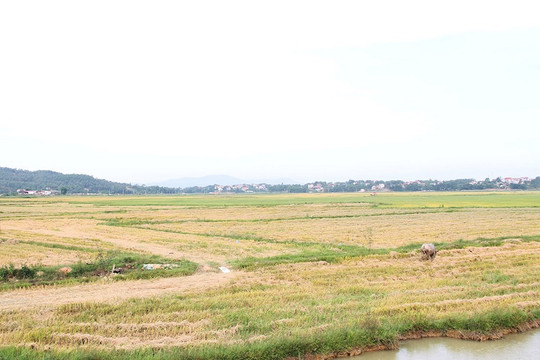 Bắc Giang quy hoạch thêm một khu dân cư phía Nam rộng 44ha