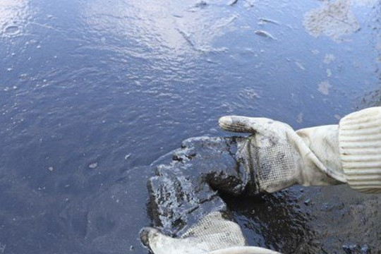 Truy tìm nguồn dầu thải đen kịt bao phủ mặt hồ Linh Đàm