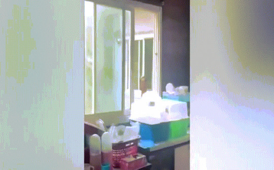 Video: Mở tung cửa sổ đón ánh mặt trời, người phụ nữ hãi hùng vì sự xuất hiện của "bé na"