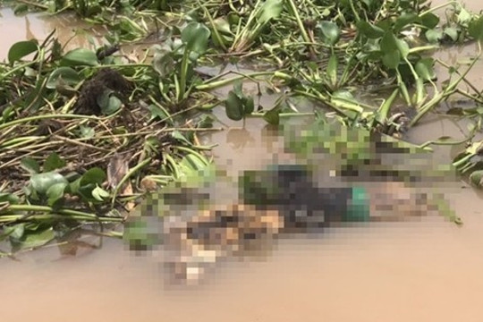 Công an Đồng Tháp tìm tung tích thanh niên nghi bị sát hại thả trôi sông