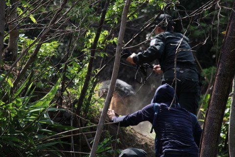 12 ngày đêm theo dấu "người rừng" (Kỳ 2): Sự đe dọa của "người rừng"