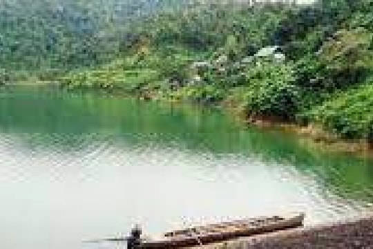 12 ngày đêm theo dấu "người rừng" (Kỳ cuối): Đêm trăng oan nghiệt