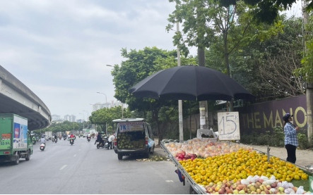 Xe tải bán hoa quả nghênh ngang trên đường phố Hà Nội, sao không ai dẹp?