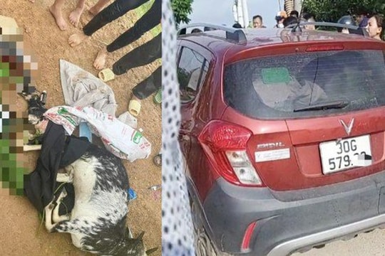 Làm rõ nguồn gốc khẩu súng mà ba sỹ quan dùng để bắn dê của dân