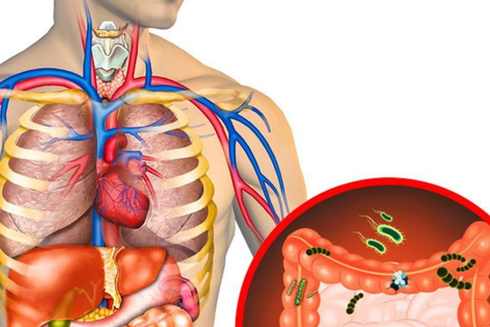 Những dấu hiệu nội tạng đang chứa lượng ‘rác’ quá lớn, cần thanh lọc độc tố ngay