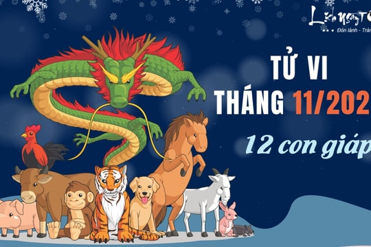 Tử vi tháng 11/2023 của 12 con giáp âm lịch: Ai nên chớp cơ hội gặt hái tiền bạc, ai ngồi im chờ thời?