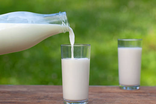 Tại sao uống sữa tươi bị tiêu chảy?