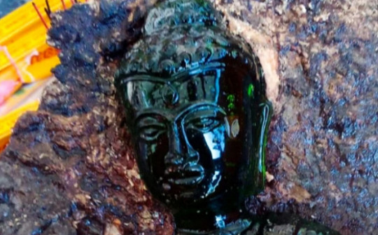 Đốn cây xoài trong ngôi chùa cổ, không ngờ phát hiện báu vật giữa thân cây