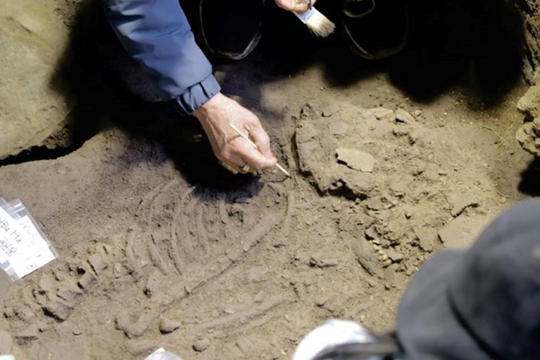 Có gì lạ ở di cốt của người niên đại 10.000 năm trước tại Hà Nam?