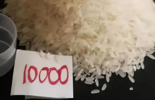 Giáo viên giao bài tập bắt nộp 10.000 hạt gạo khiến phụ huynh bức xúc: Cả nhà ngồi đếm tới đêm không xong