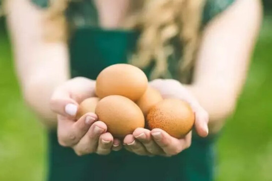 Trứng luộc hay trứng rán nhiều dinh dưỡng hơn?