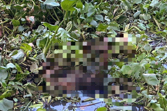 Phát hiện thi thể cô gái 17 tuổi nổi trên sông Vàm Cỏ Đông