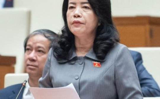 Đại biểu hỏi Chánh án TAND Tối cao Nguyễn Hoà Bình việc xác định thiệt hại trong vụ Vũ 'nhôm'