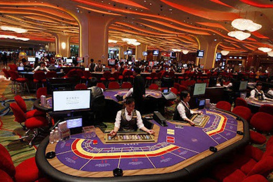 UBND TP HCM chỉ đạo kiểm tra đột xuất các doanh nghiệp kinh doanh Casino