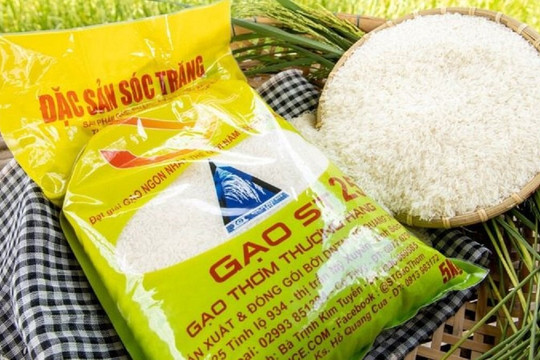 Gạo Việt Nam đạt giải ngon nhất thế giới 2023