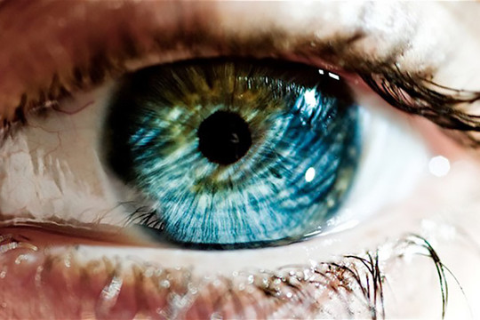 Mống mắt là gì? Mống mắt con người có thay đổi theo thời gian hay không?