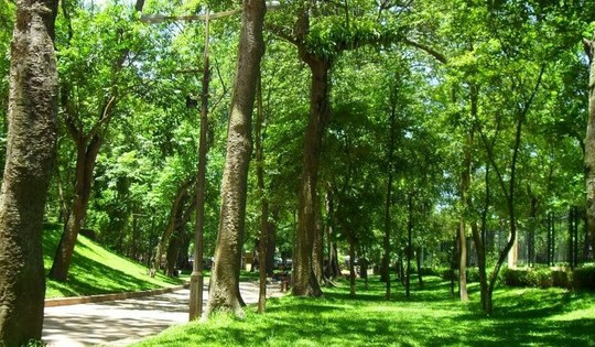 Hà Nội đề xuất xây dựng công viên rừng trên đất di dời nhà máy