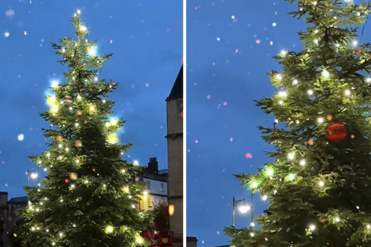 ĐH Oxford "chơi lớn" dựng cây thông Noel ngoài trời cho sinh viên "sống ảo", tiệc Giáng sinh sang chảnh cũng rất là mê