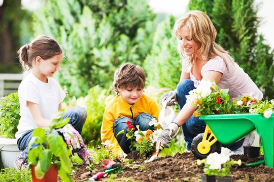 Dạy trẻ yêu thiên nhiên từ trồng cây và làm vườn