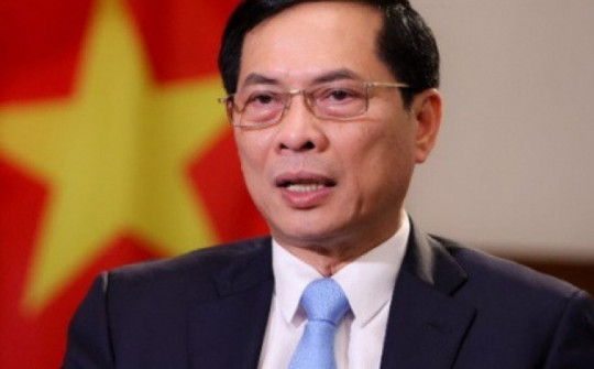Bộ trưởng Ngoại giao Bùi Thanh Sơn: Đã khẳng định rõ bản sắc 'ngoại giao cây tre Việt Nam'