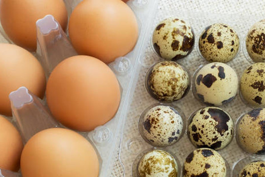 Loại trứng quen giá rẻ có cholesterol thấp hơn trứng gà, tăng gấp 3 lần trao đổi chất và bảo vệ mạch máu hiệu quả