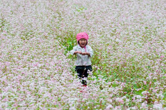 Điện Biên đẹp nao lòng mùa hoa khoe sắc