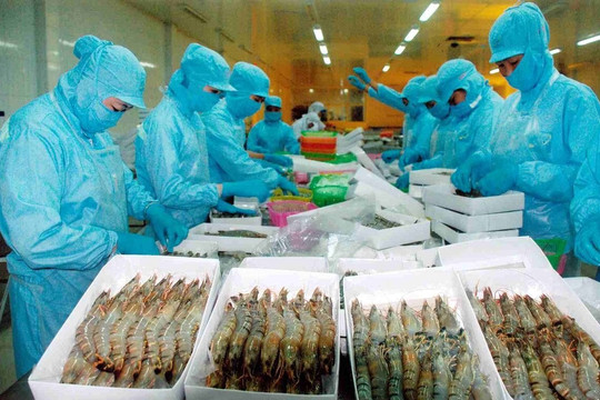 Nhập khẩu trái phép thịt vào Singapore, công ty Việt bị phạt hơn 660 triệu đồng