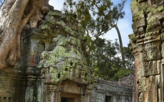 Campuchia: 6 báu vật sa thạch lộ diện ở Công viên Khảo cổ Angkor