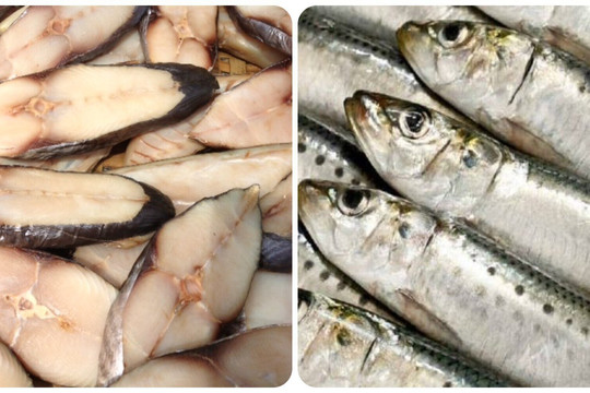 5 loại cá giàu dinh dưỡng, tốt cho sức khoẻ rất nên mua khi đi chợ