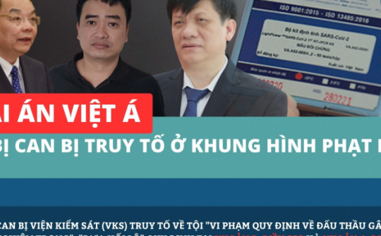 Infographic: 38 bị can trong "đại án Việt Á" bị truy tố ở khung hình phạt nào?
